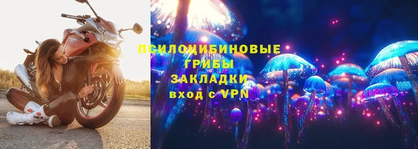 apvp Алексин